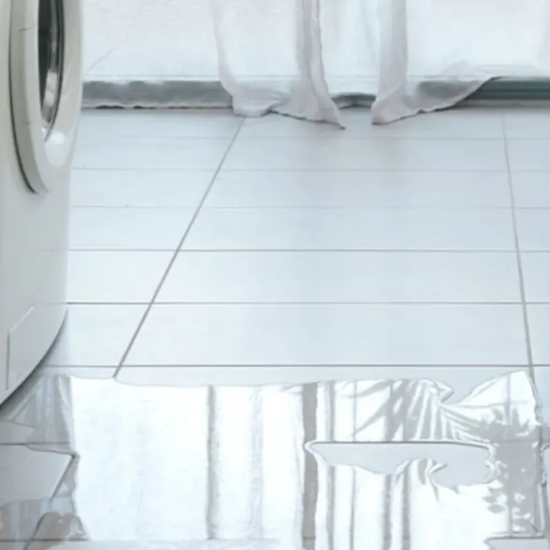 Appliance Leak Cleanup in Ward, AR