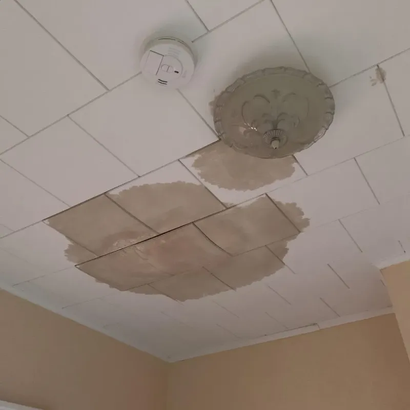 Ceiling Water Damage Repair in Ward, AR