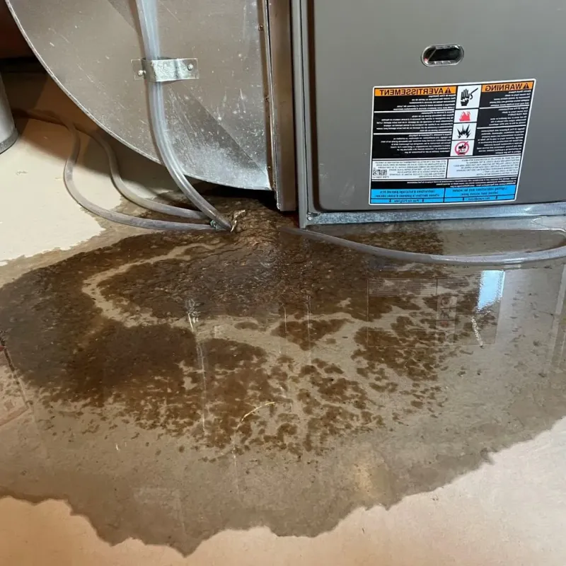 Pipe Burst and Leak Restoration in Ward, AR