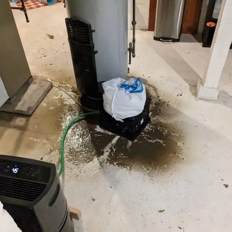 Sewage Backup Cleanup Service in Ward, AR